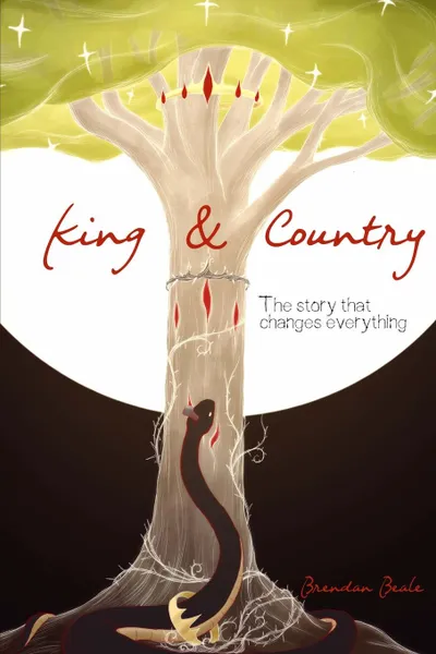 Обложка книги King & Country, Brendan Beale