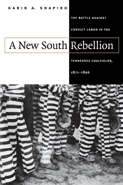 Обложка книги A New South Rebellion, Karin A. Shapiro