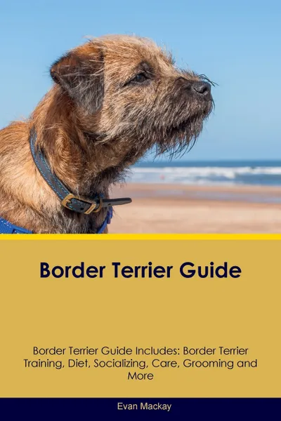 Обложка книги Border Terrier Guide Border Terrier Guide Includes. Border Terrier Training, Diet, Socializing, Care, Grooming, Breeding and More, Evan Mackay