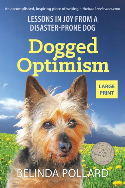 Обложка книги Dogged Optimism (Large Print). Lessons in Joy from a Disaster-Prone Dog, Belinda Pollard