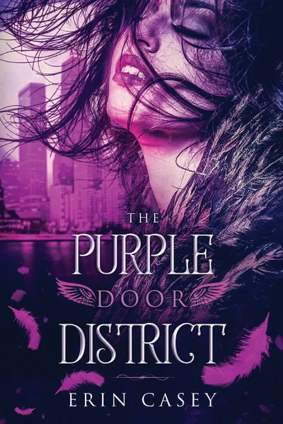 Обложка книги The Purple Door District, Erin Casey