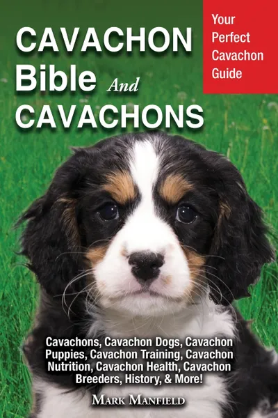 Обложка книги Cavachon Bible And Cavachons. Your Perfect Cavachon Guide Cavachons, Cavachon Dogs, Cavachon Puppies, Cavachon Training, Cavachon Nutrition, Cavachon Health, Cavachon Breeders, History, & More!, Mark Manfield