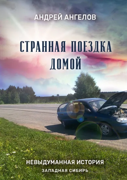 Обложка книги Странная поездка домой, Андрей Ангелов