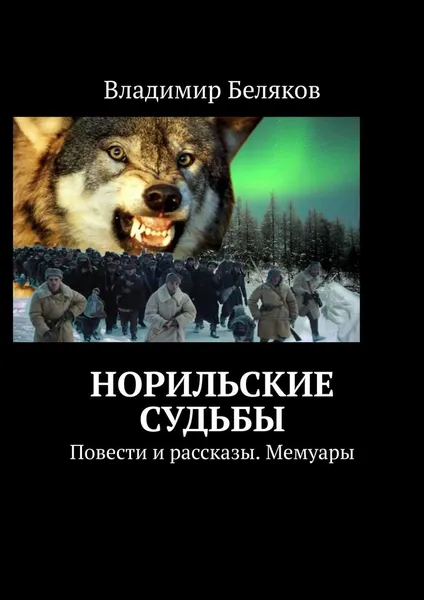 Обложка книги Норильские судьбы, Владимир Беляков