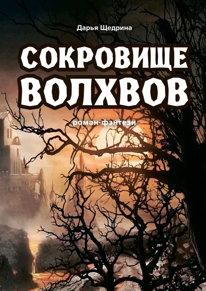 Обложка книги Сокровище волхвов, Дарья Щедрина