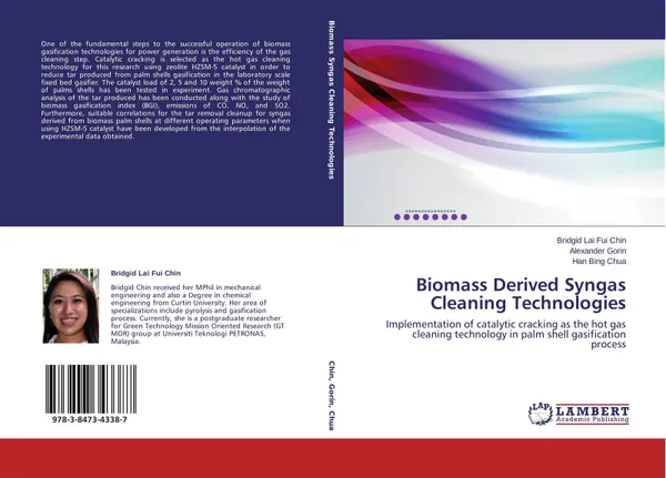 Обложка книги Biomass Derived Syngas Cleaning Technologies, Bridgid Lai Fui Chin,Alexander Gorin and Han Bing Chua