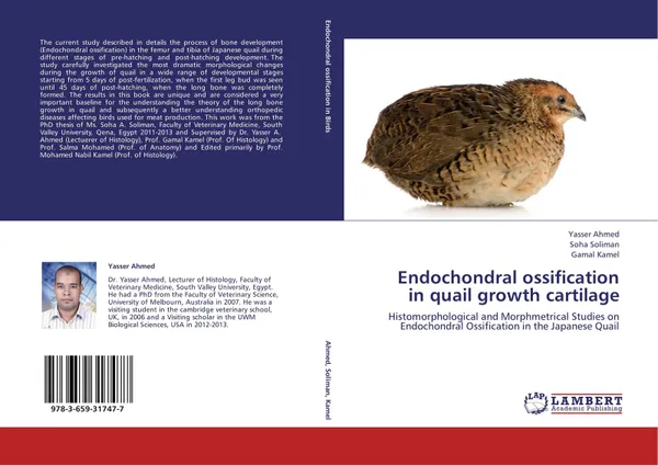 Обложка книги Endochondral ossification in quail growth cartilage, Yasser Ahmed,Soha Soliman and Gamal Kamel