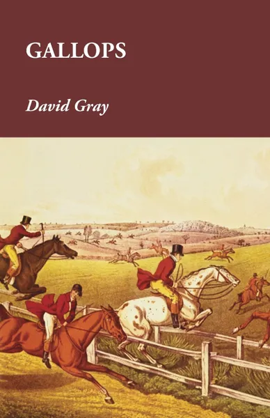 Обложка книги Gallops, David Gray