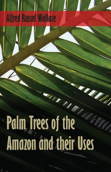 Обложка книги Palm Trees of the Amazon and their Uses, Alfred Russel Wallace