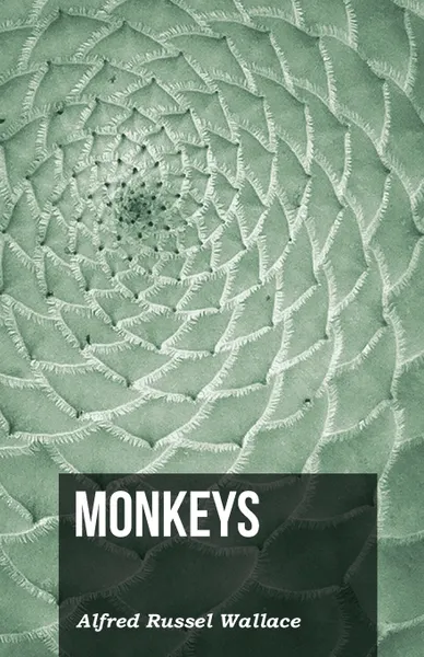 Обложка книги Monkeys, Alfred Russel Wallace