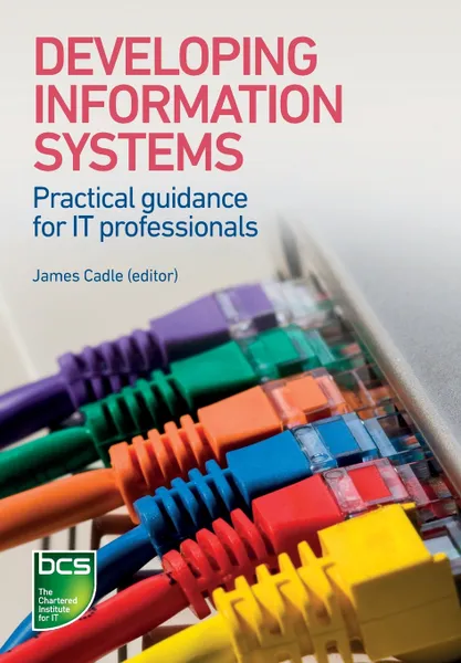 Обложка книги Developing Information Systems. Practical Guidance for It Professionals, Tahir Ahmed, Julian Cox, Lynda Girvan