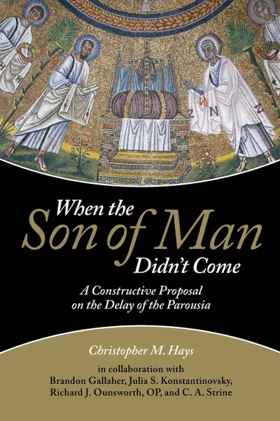 Обложка книги When the Son of Man Didn't Come, Christopher M. Hays