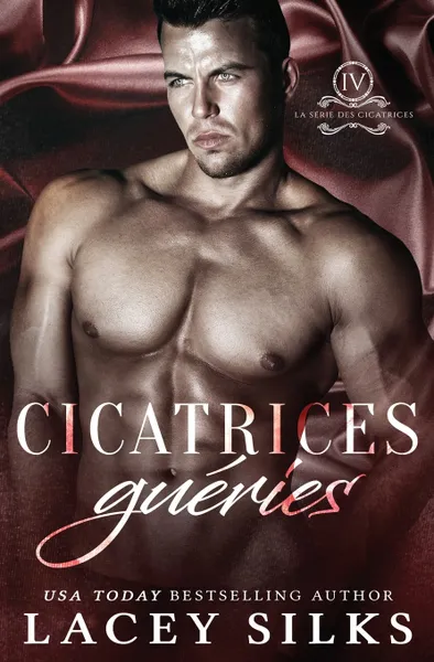 Обложка книги Cicatrices gueries, Lacey Silks, Jade Baiser