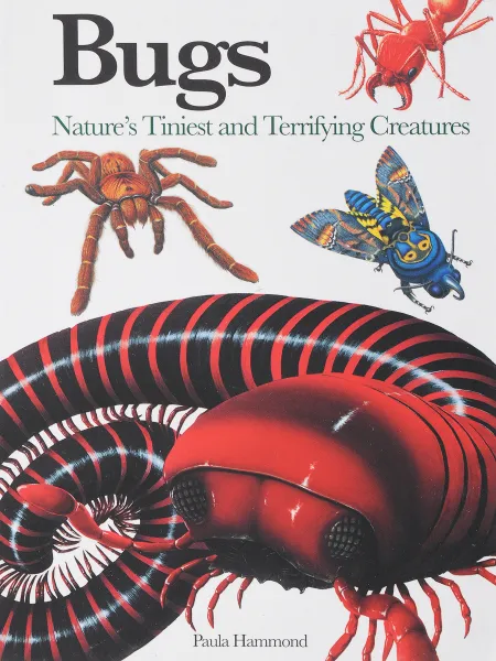 Обложка книги Bugs: Nature's Tiniest and Terrifying Creatures, Хаммонд Паула