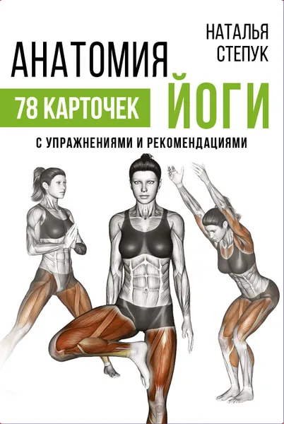 Обложка книги Анатомия йоги, Степук Наталья Генриховна