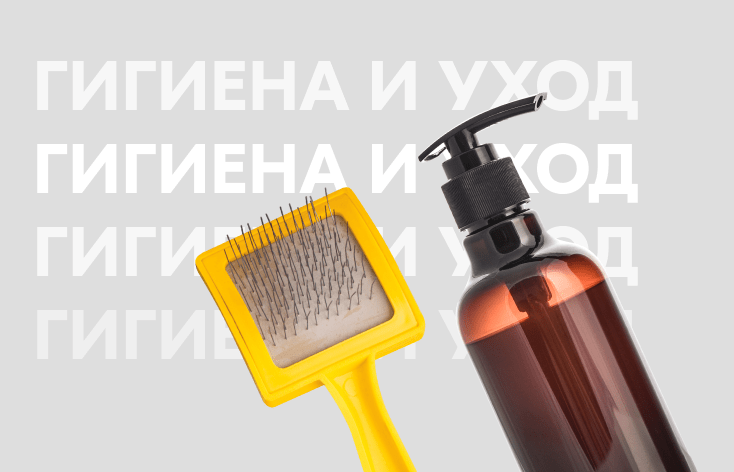Купить товары для животных по доступным ценам в интернет-магазине OZON.ru