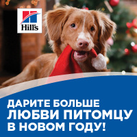 Озон В Новогодние Праздники Озон В Новогодние Праздники