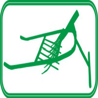 Pole1