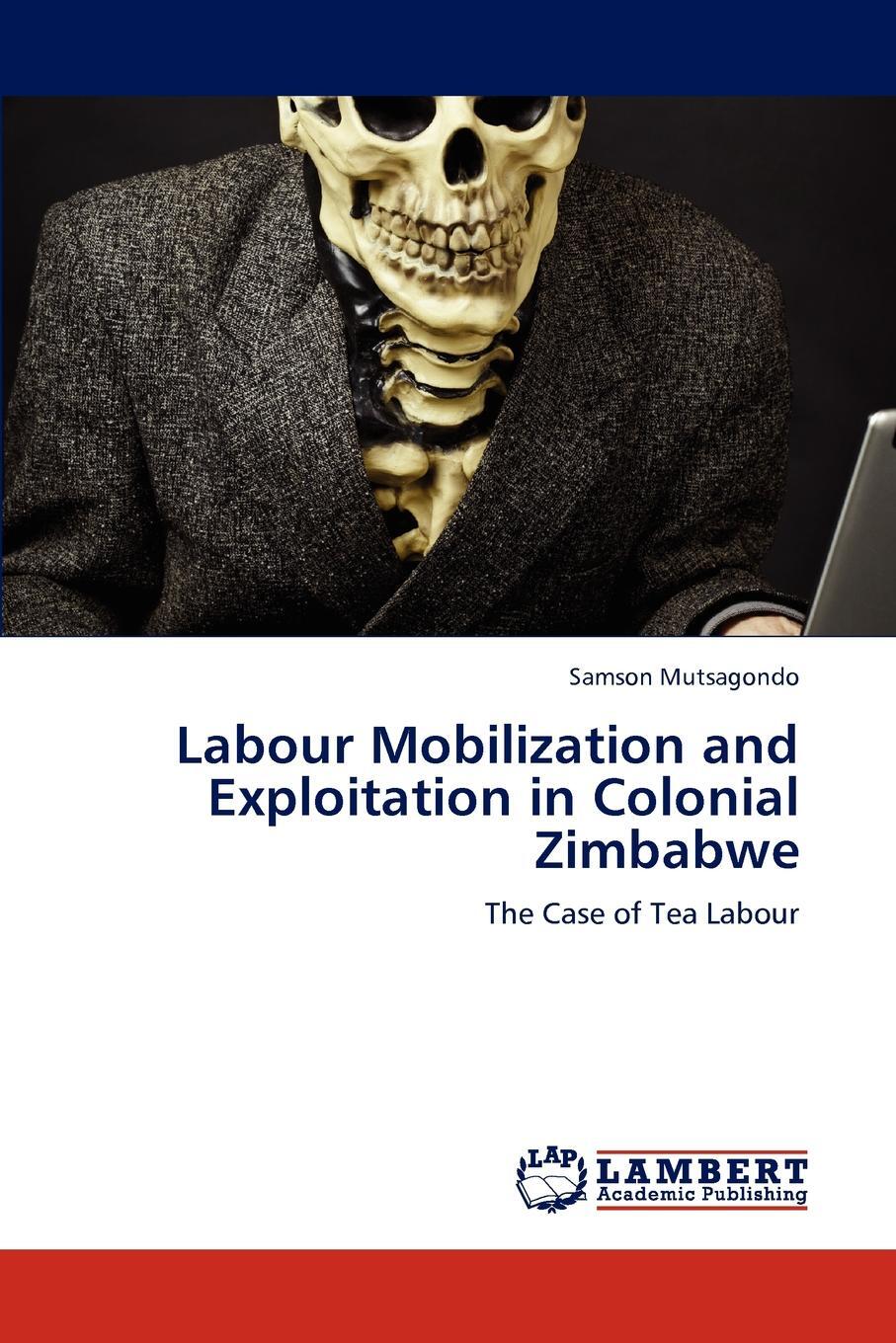фото Labour Mobilization and Exploitation in Colonial Zimbabwe