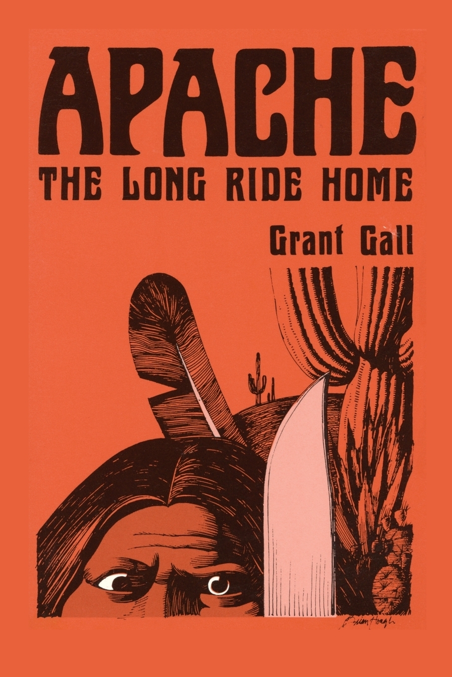 фото Apache, The Long Ride Home, A Novel