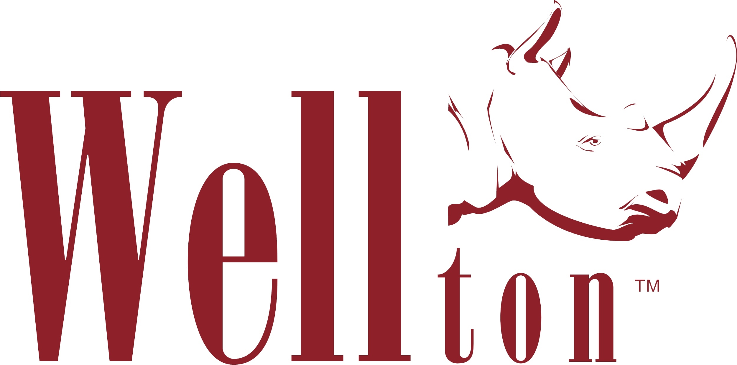 Wellton — купить товары Wellton в интернетмагазине OZON