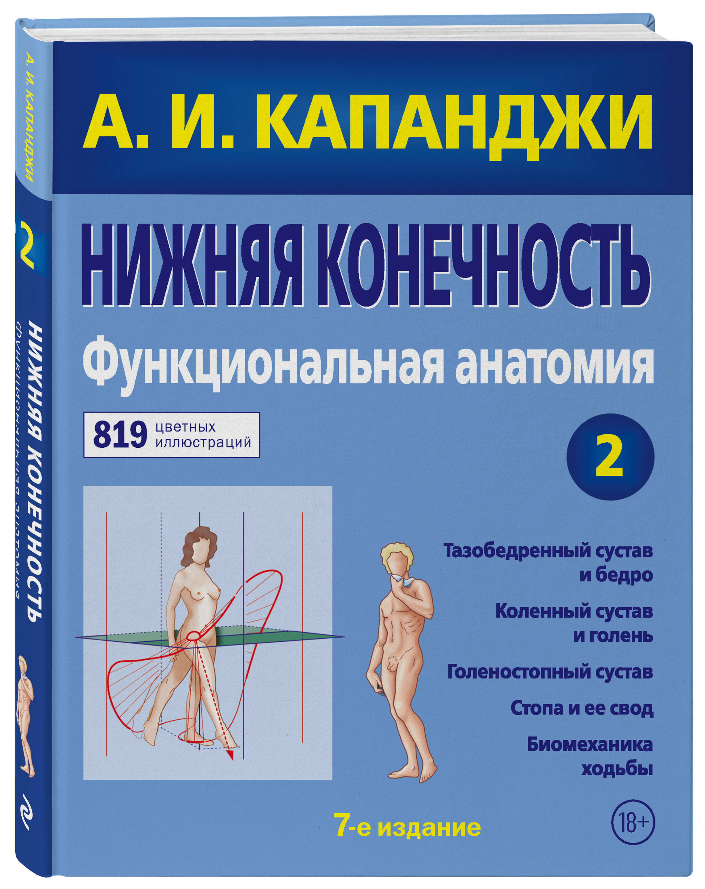 Нижняя конечность: Функциональная анатомия (обновленное издание) | Капанджи А. И.