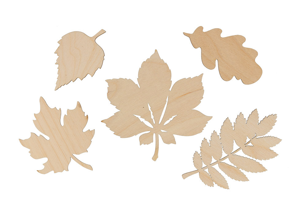 Овальный лист. Лист. Листья разных деревьев. Продолговато ланцетная форма листа. Листья ольхи осенью.