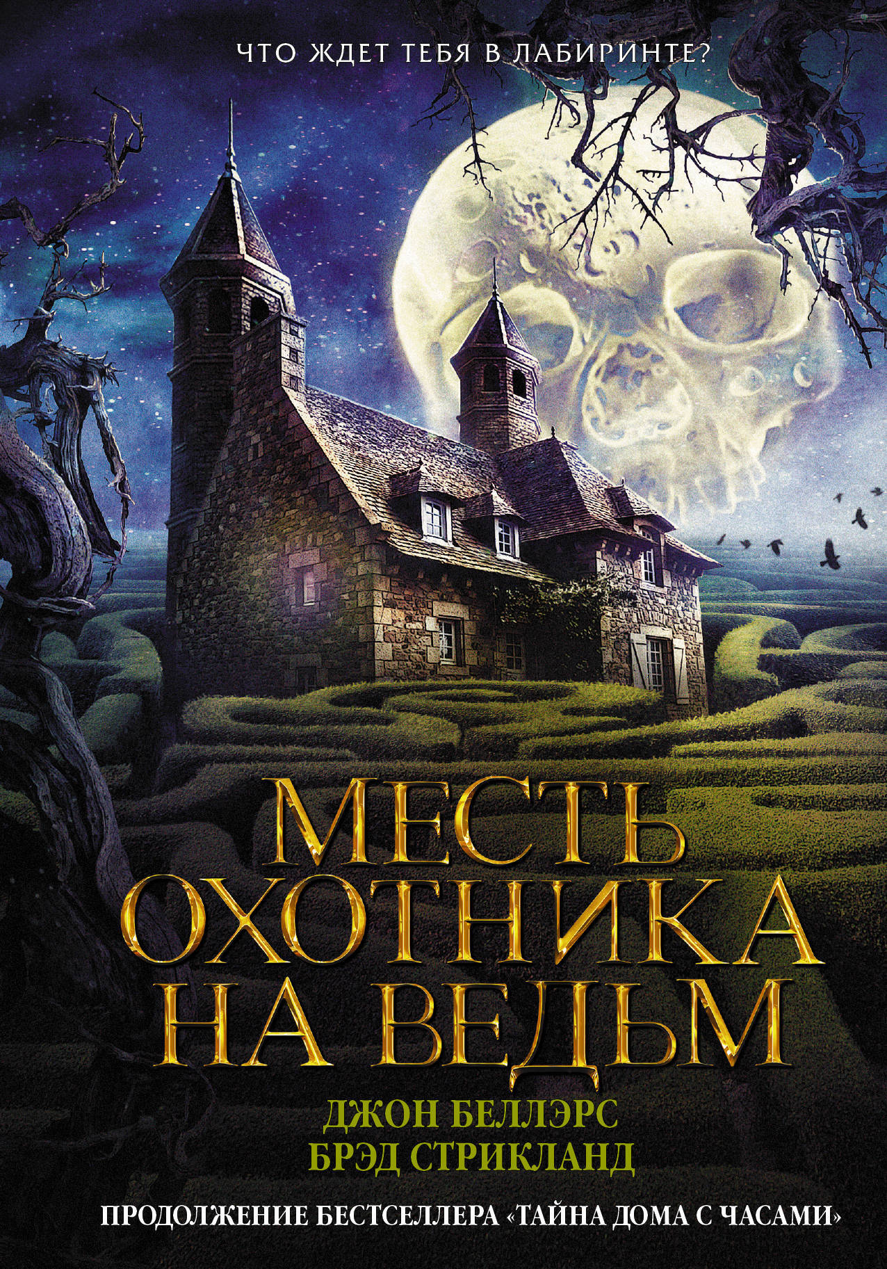 Месть охотника на ведьм | Беллэрс Джон, Стрикланд Брэд - купить с доставкой  по выгодным ценам в интернет-магазине OZON (161810268)