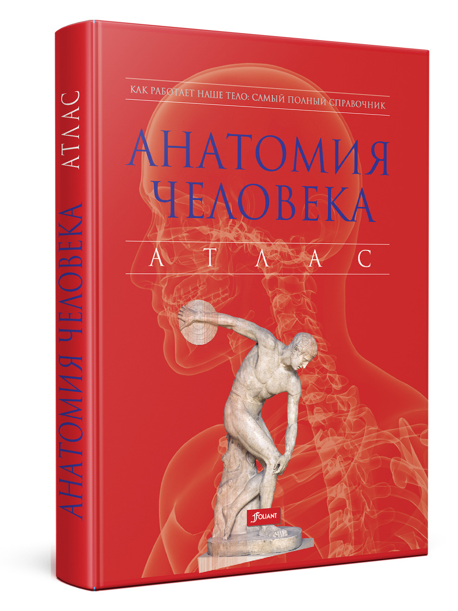 Книга "Анатомия человека. Атлас. " – купить книгу ISBN 978-601-302-583 ...