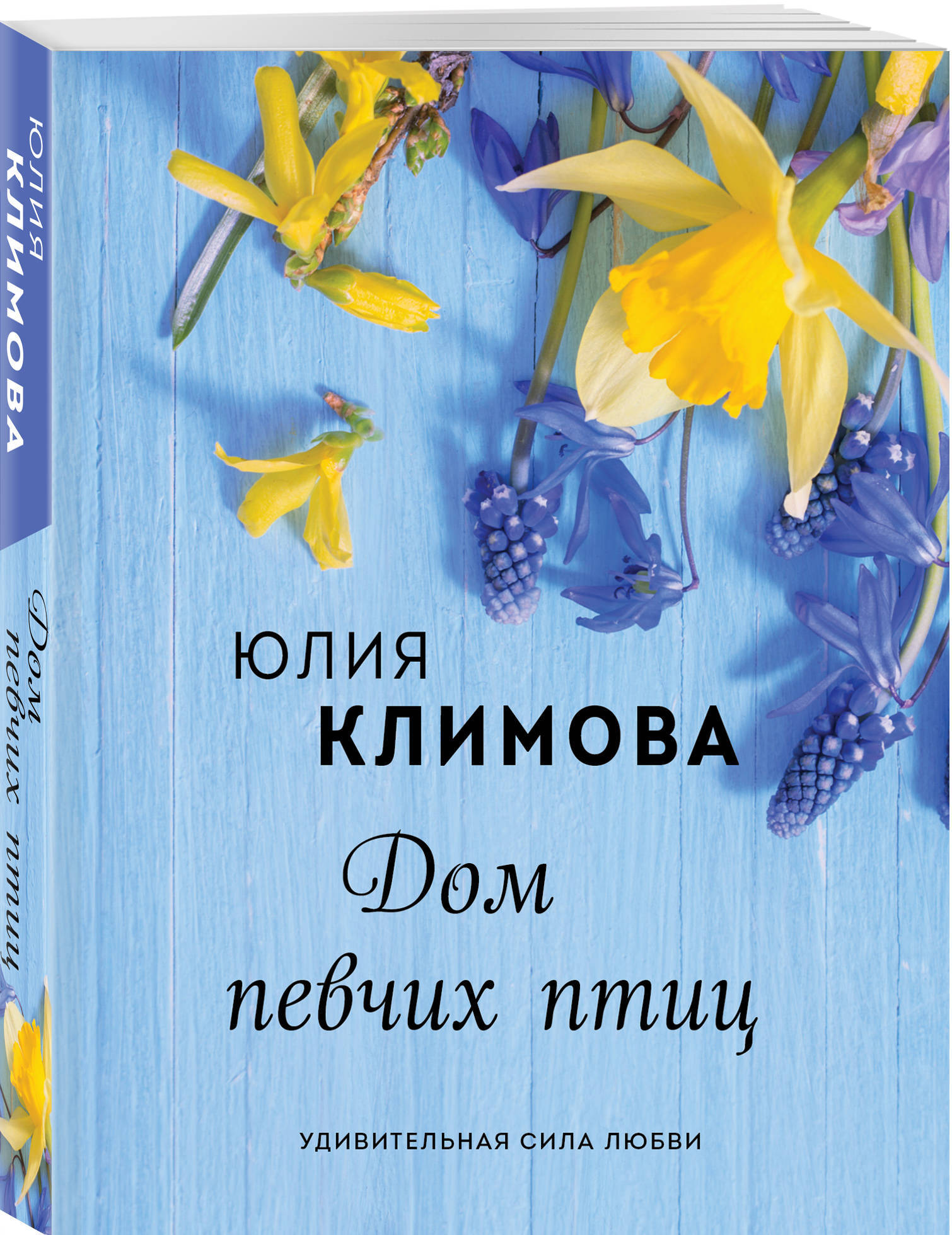 Дом певчих птиц | Климова Юлия Владимировна - купить с доставкой по  выгодным ценам в интернет-магазине OZON (216107731)