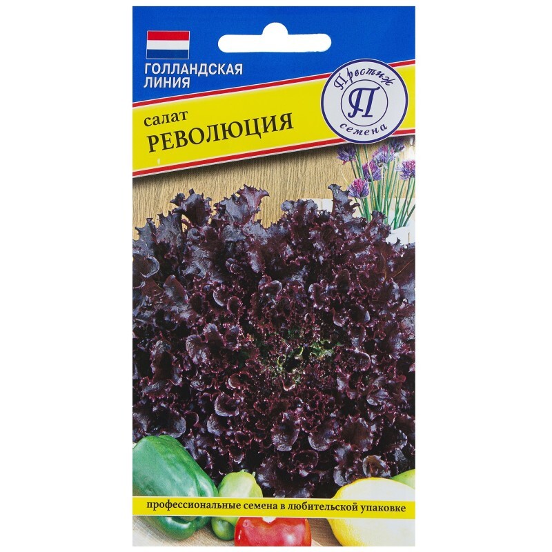 Купить Семена Из Голландии В Интернет Магазине
