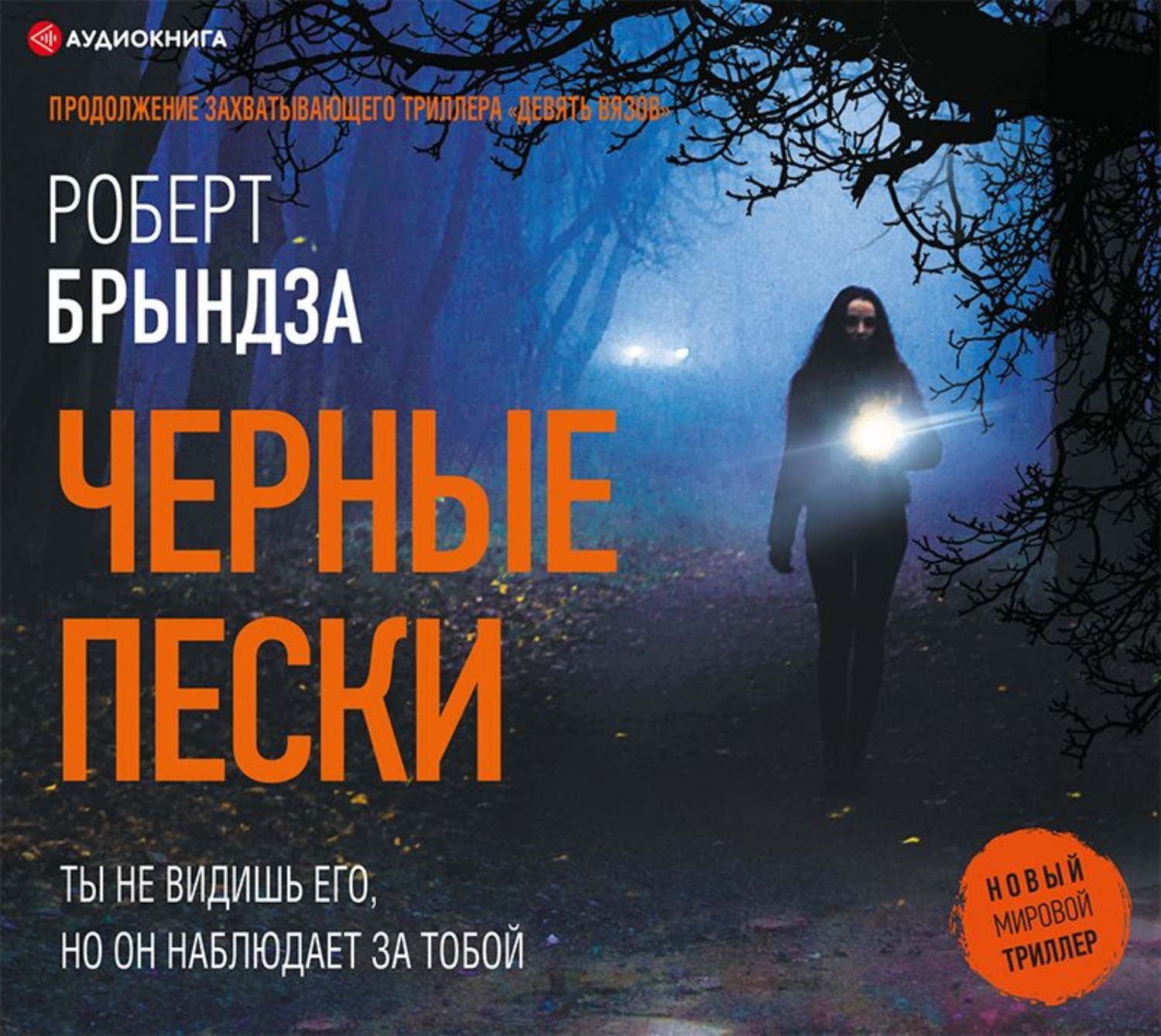 Цифровая аудиокнига "Черные пески" Брындза Роберт – купить книгу с ...