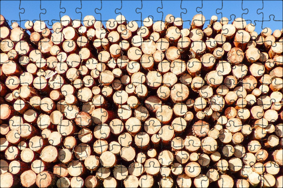 Export logs