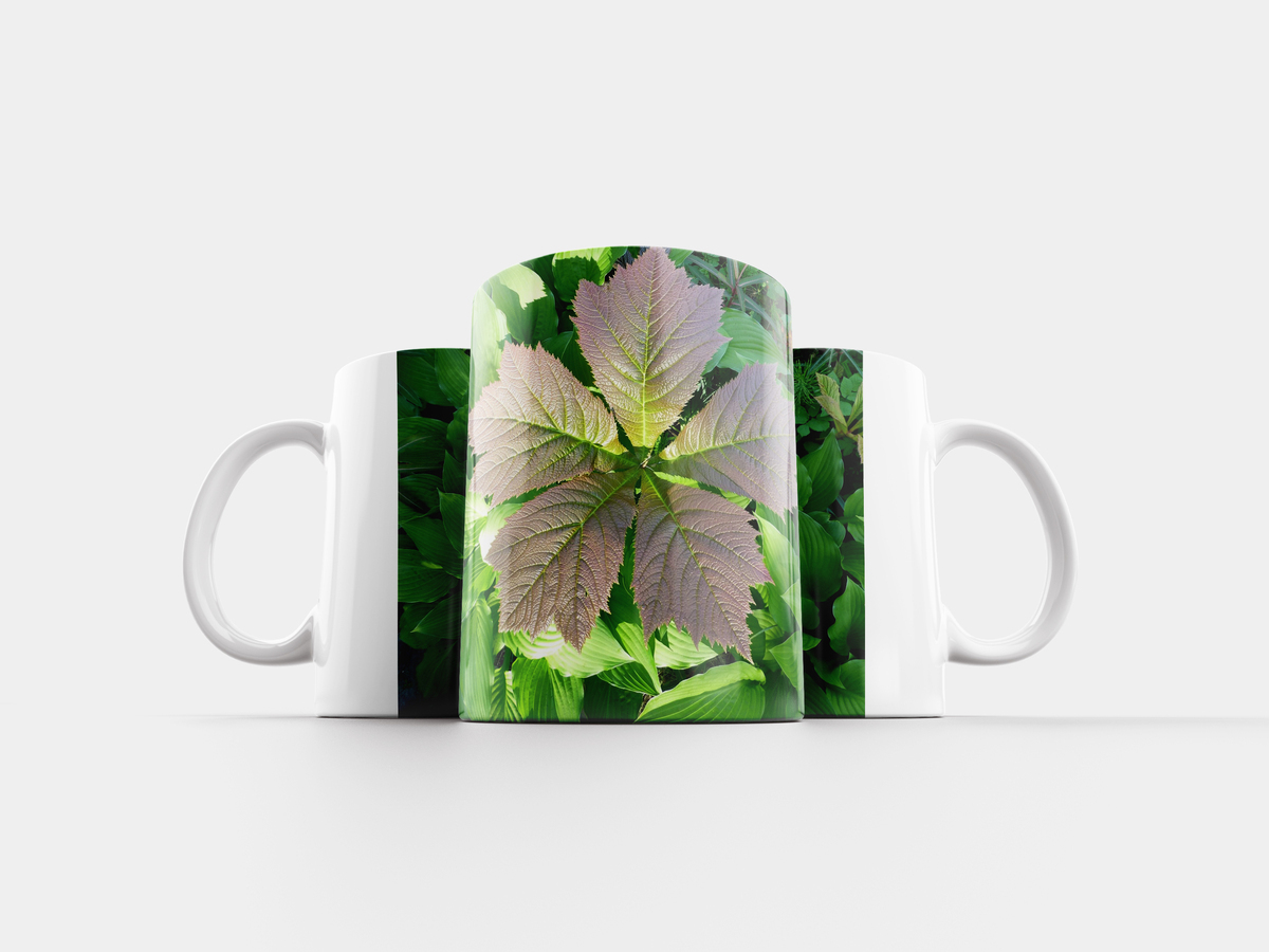 5. кружка пятого. 5 в кружке. 5 кружек. цветные кружки.