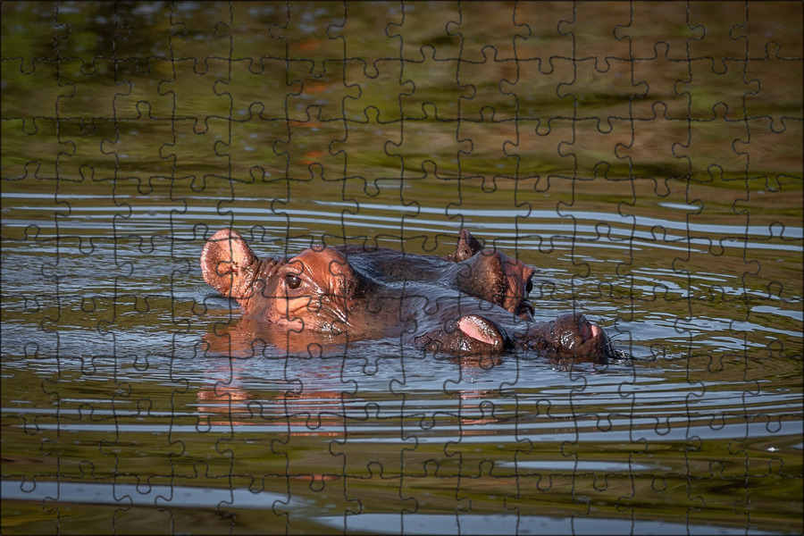 Стол бегемот в воде