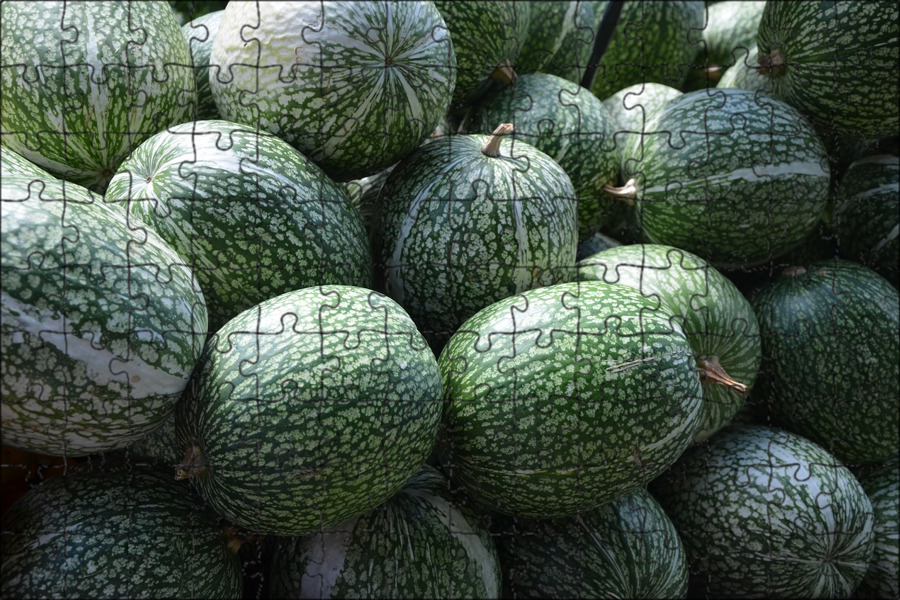 Фицефалия тыква фиголистная. Ты́ква фицифолия. Ты́ква фицифолия. Ты́ква фицифолия. Тыква фиголистная.