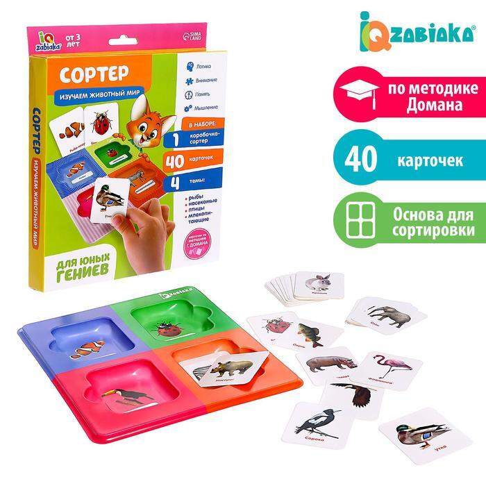 Сортер "Изучаем животный мир" с карточками Домана — купить в интернет ...