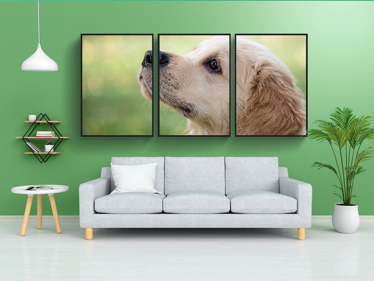 Постер собаки. Постеры с собаками. Собака в интерьере. Постер щенки. Импостер собака.