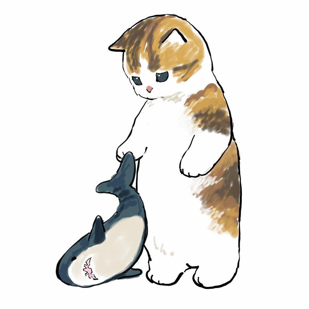 Линда киты кошки