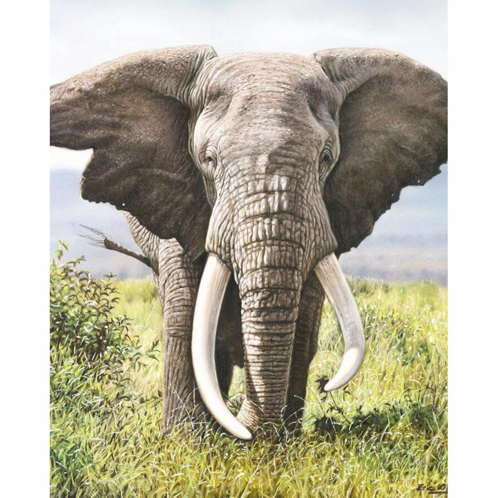 Elephants books. Африканский слон красная книга. Животные Африки слон. Необычный слон. Необычные животные Африки.