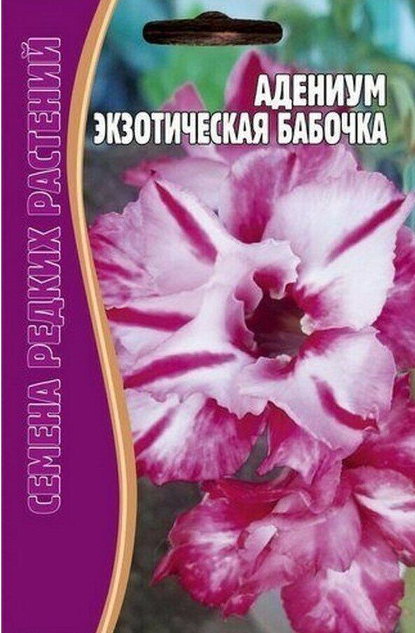 Адениум Купить В Красноярске Семена Для Сибири