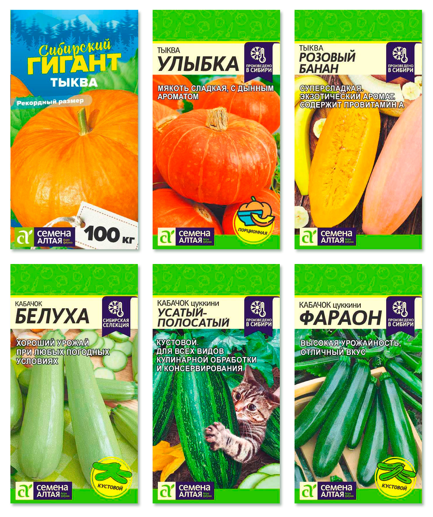Тыквы, Кабачки Семена Алтая КТ-СА-6 - купить по выгодным ценам в ...