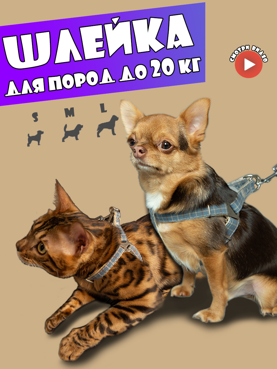 Шлейка и поводок 120 см MiloPets для собак мелких, средних и крупных ...