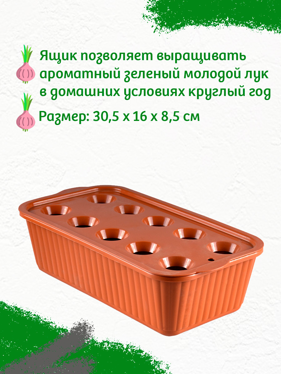 Ящик для выращивания зеленого лука 10 ячеек купить по низкой цене в ...