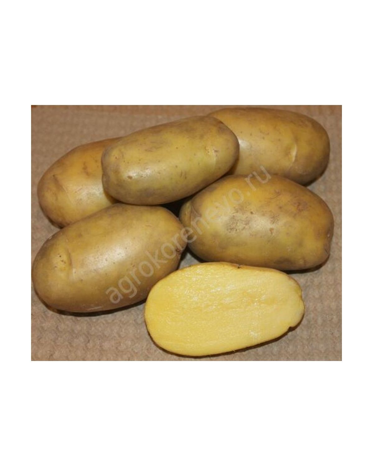 Картофель семенной Гулливер