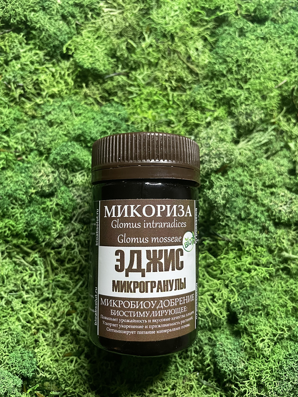 Микориза Купить В Спб