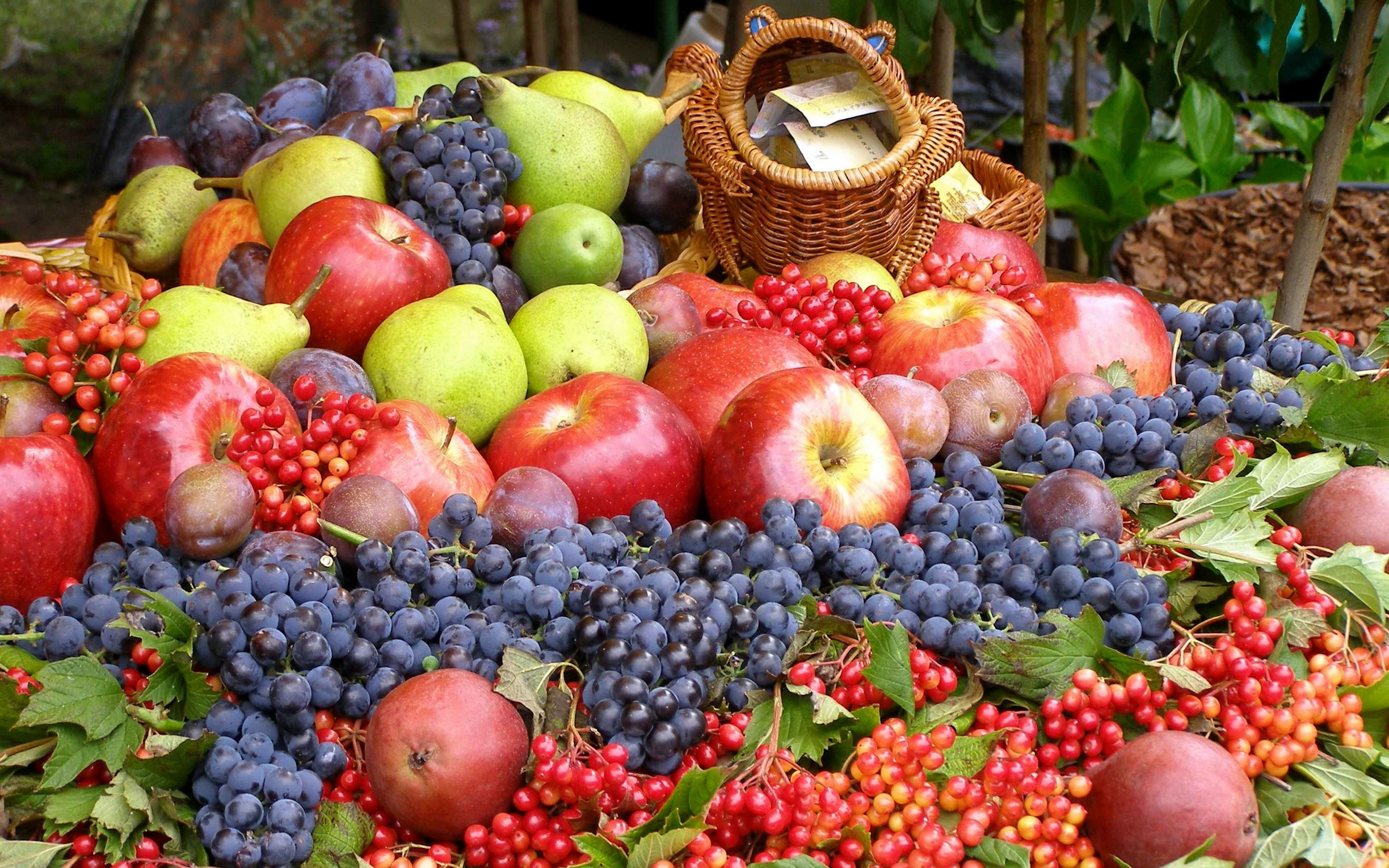 Садово фруктовый. Фруктовый сад. Фрукты и ягоды. Плоды осени. Осенние фрукты и ягоды.