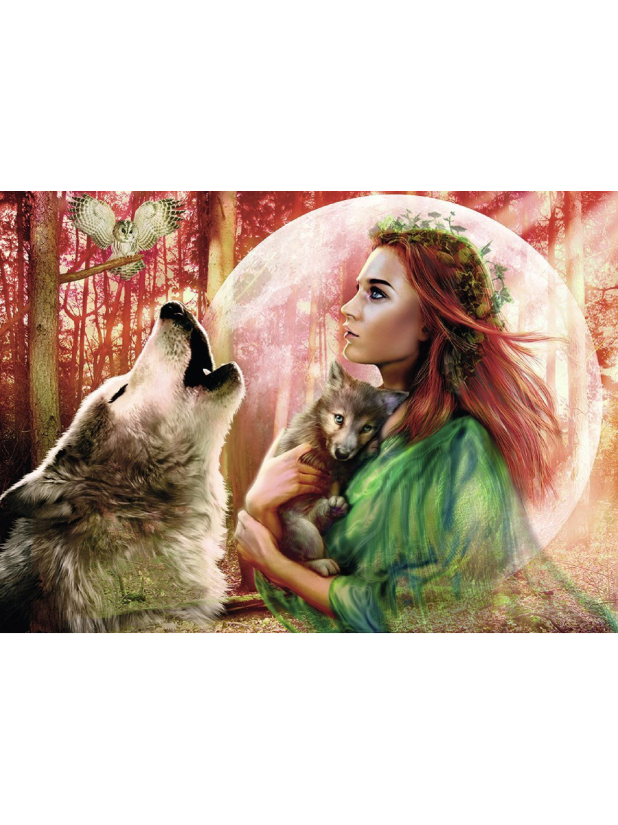 Алмазная мозаика девушка с волком