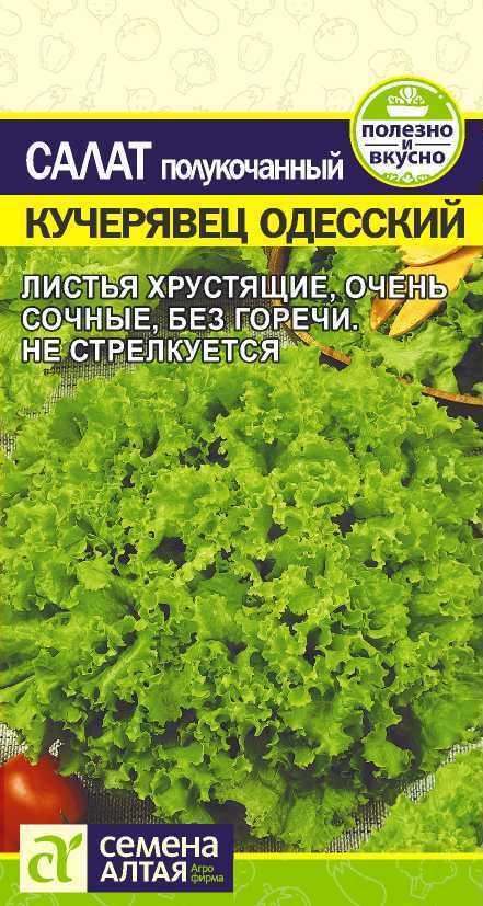 Салат Семена Алтая Зелень - купить по выгодным ценам в интернет-магазинеOZON (864764269)