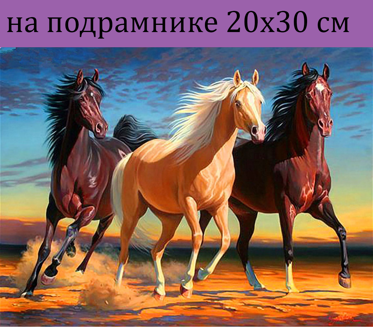 Картины по номерам на холсте 20 на 30